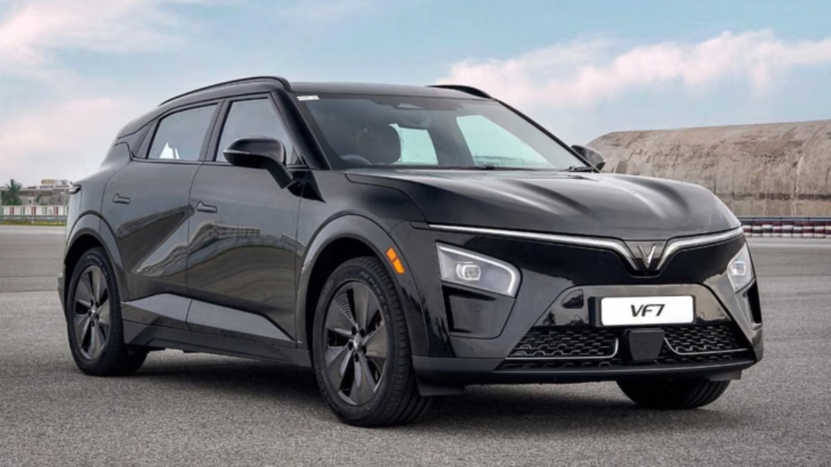 VinFast Free Charging Offer 2029